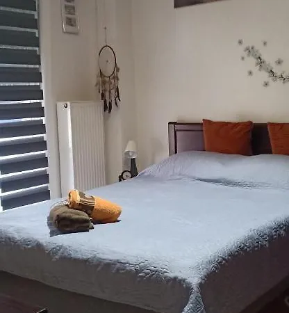 Modern&comfortable Euosmos