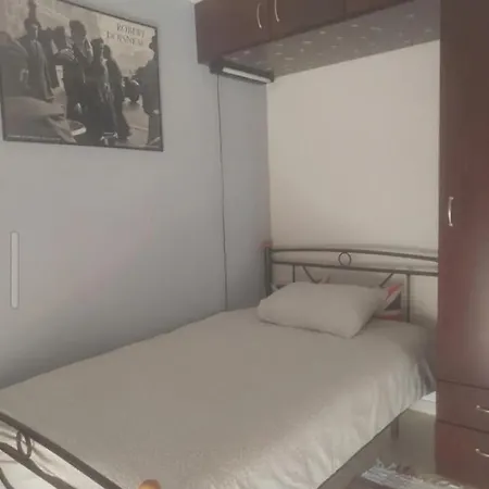 Modern&comfortable Euosmos *