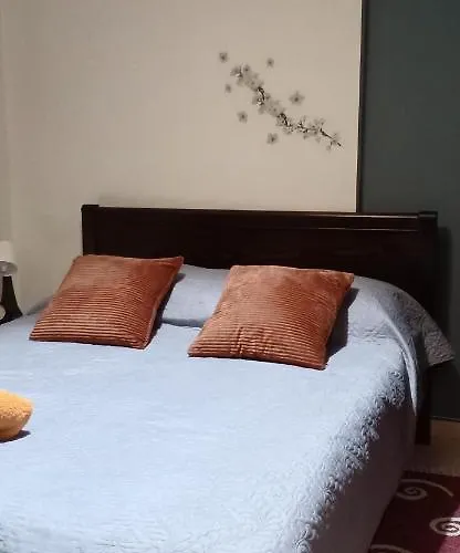 Modern&comfortable Euosmos *