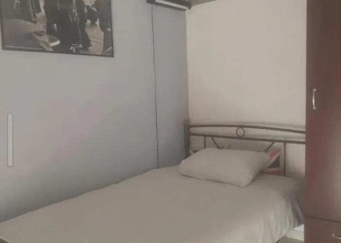 Modern&comfortable Euosmos *