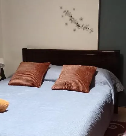 Modern&comfortable Euosmos *